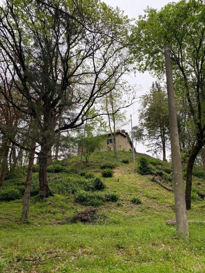 Naturemugello Oasi Naturista Dicomano エクステリア 写真