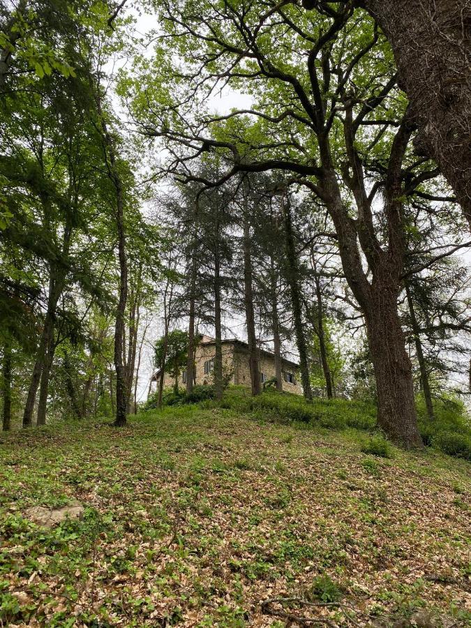 Naturemugello Oasi Naturista Dicomano エクステリア 写真